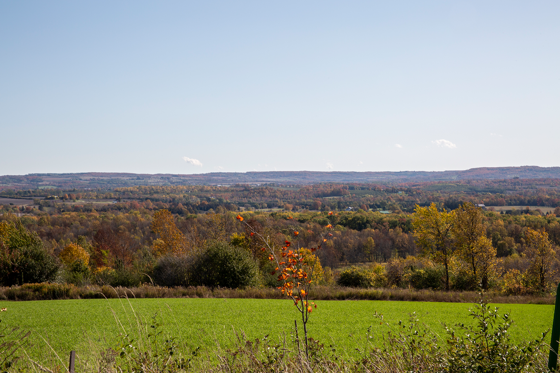 Beaver-valley