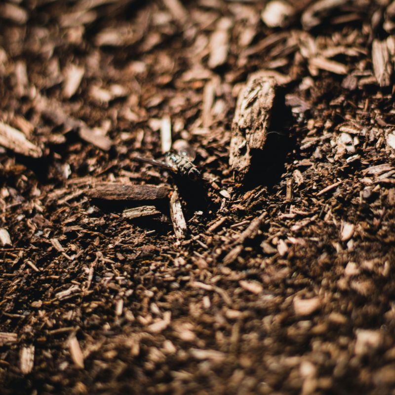 Mulch